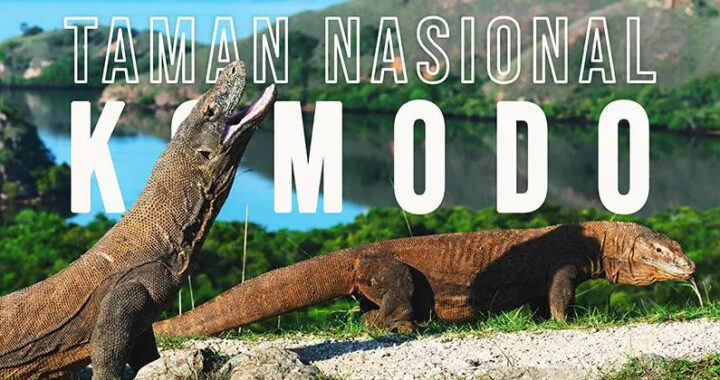 Terbangkan Drone di Taman Nasional Komodo Wajib Punya Simaksi