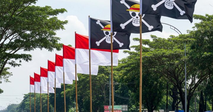 Kenapa Bendera One Piece Di indonesia Viral??