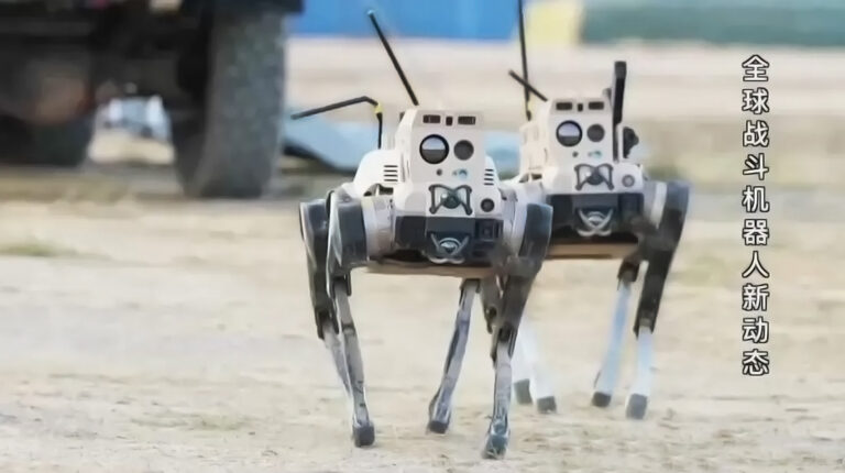 robot serigala china