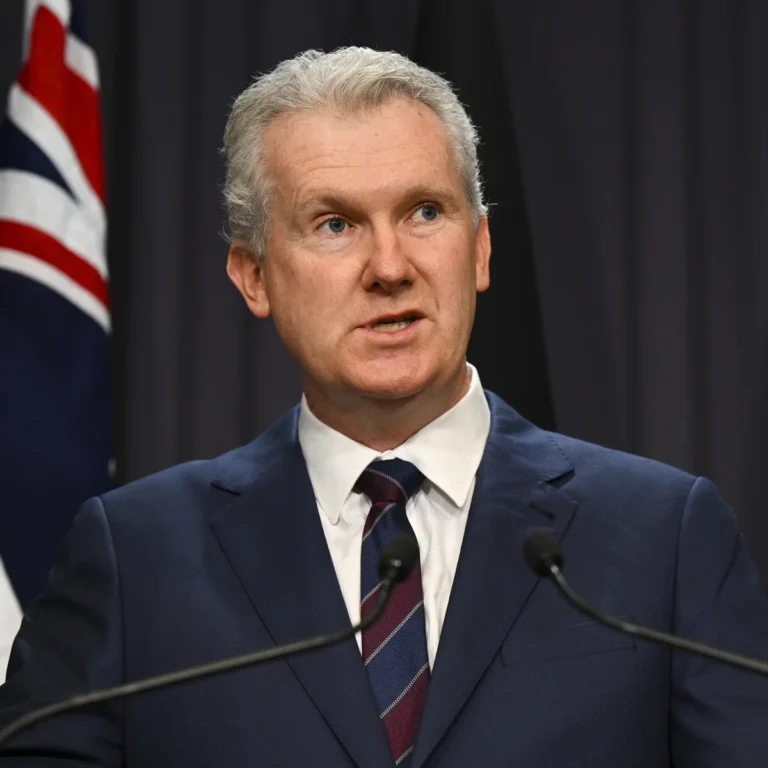 tony burke
