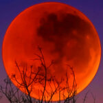 Blood moon