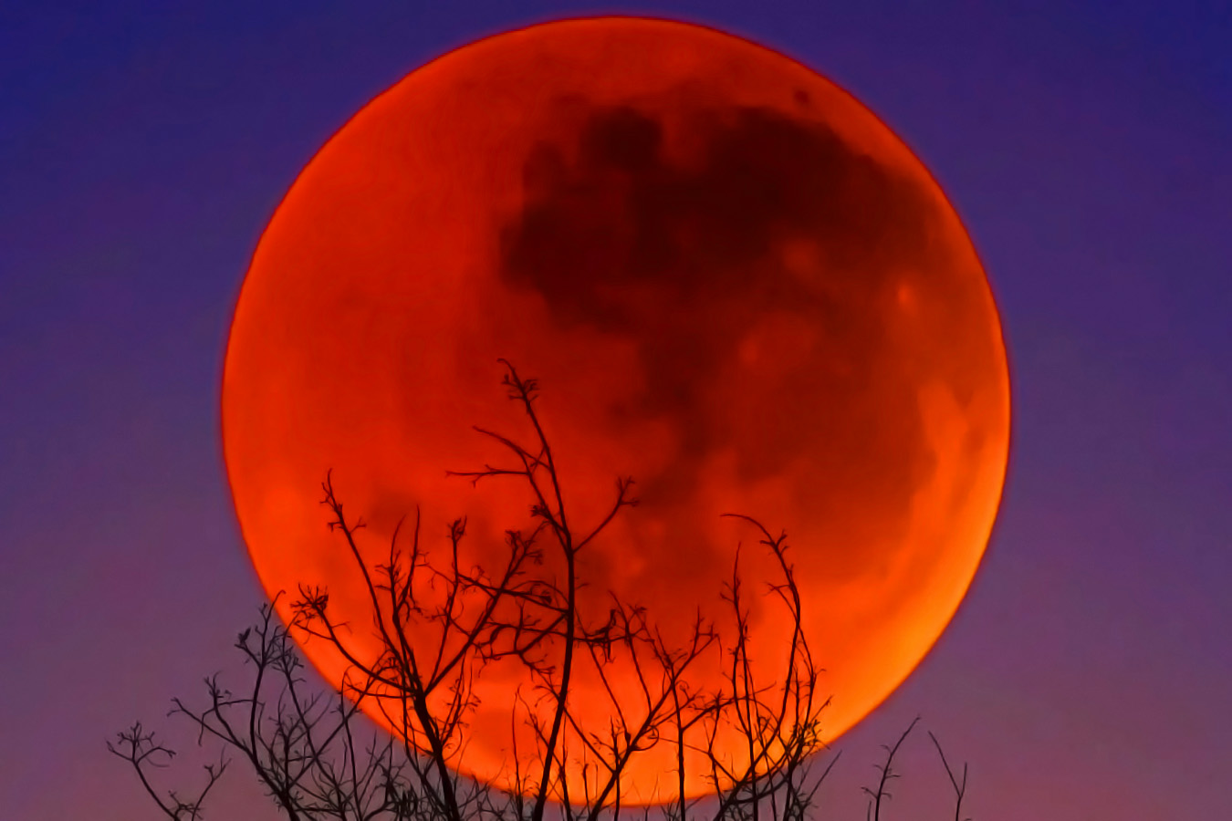 Blood moon