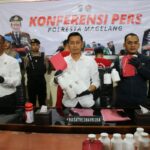 Pil sapi
